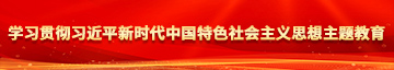 肏穴网站学习贯彻习近平新时代中国特色社会主义思想主题教育